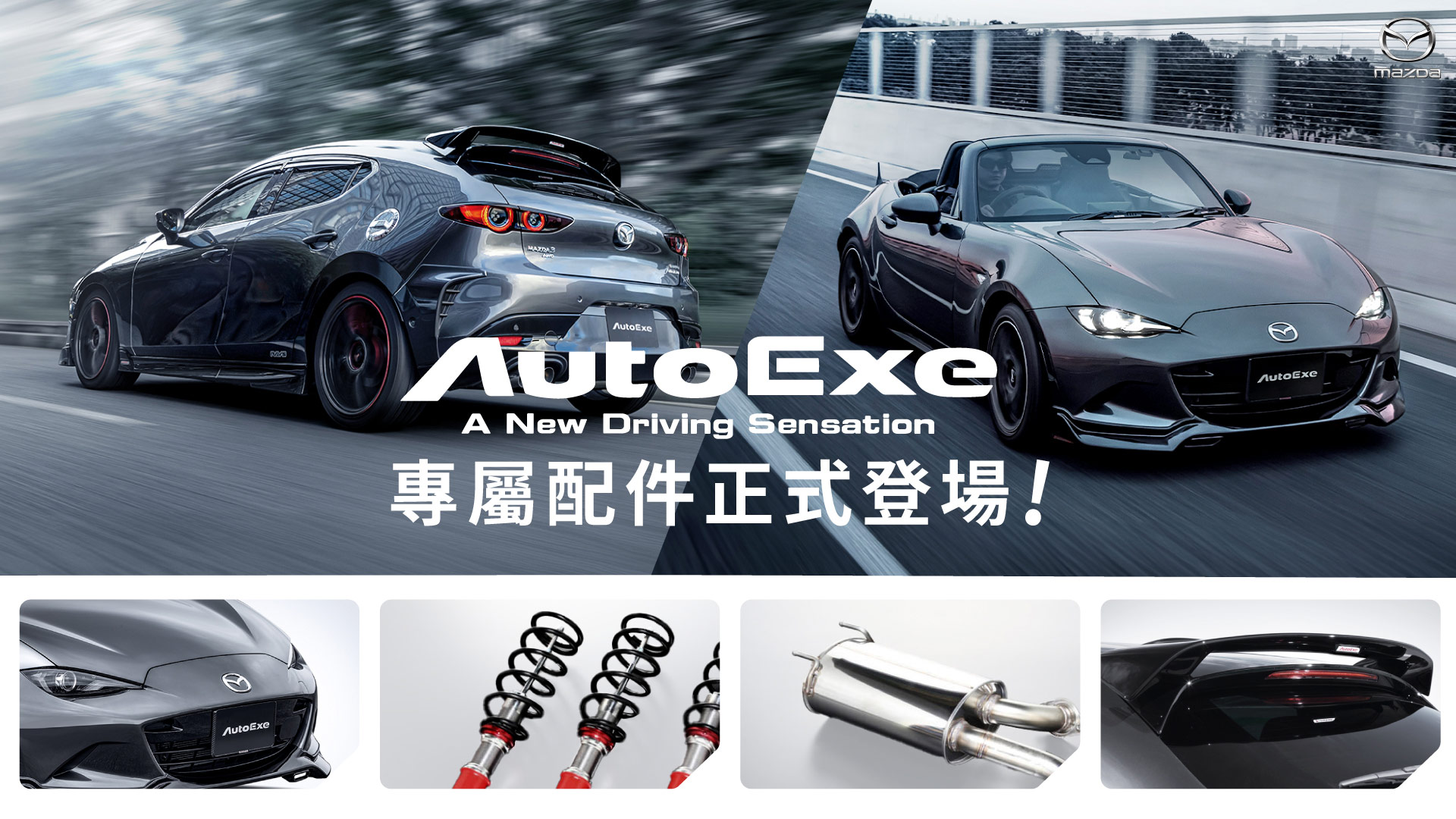 Autoexe Webbanner Desktop